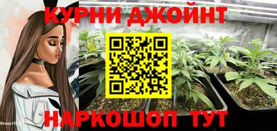 шишки Тула