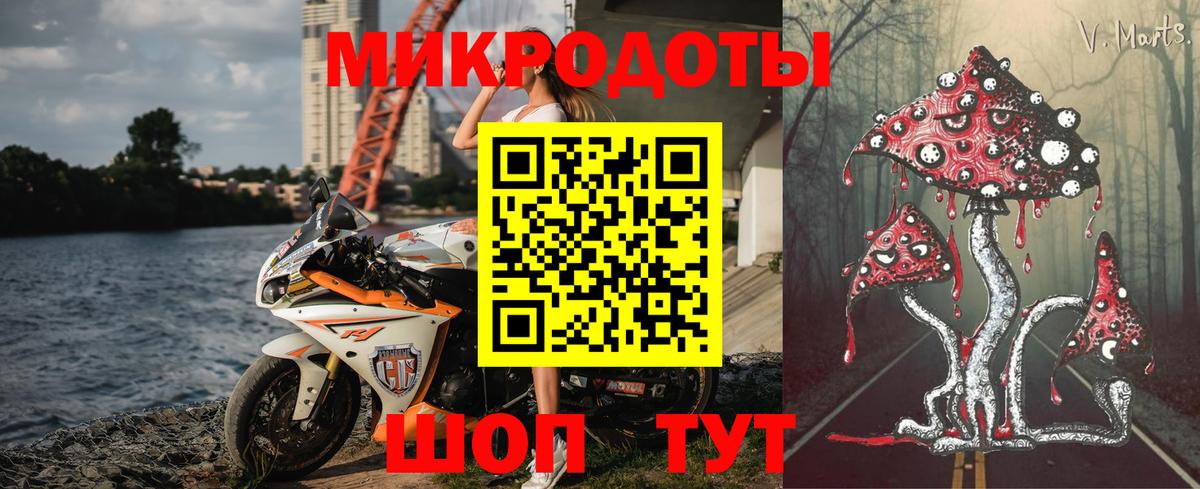 Киселёвск  где купить наркотик  Вход с VPN  Галлюциногенные грибы Psilocybe 